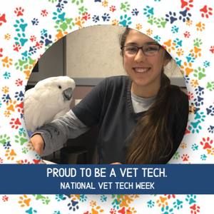 Meet your Posher, Laura